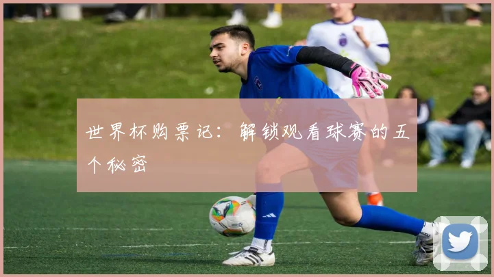 世界杯购票记：解锁观看球赛的五个秘密