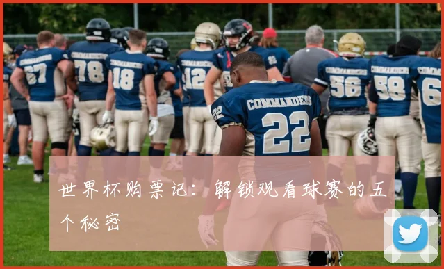 世界杯购票记：解锁观看球赛的五个秘密