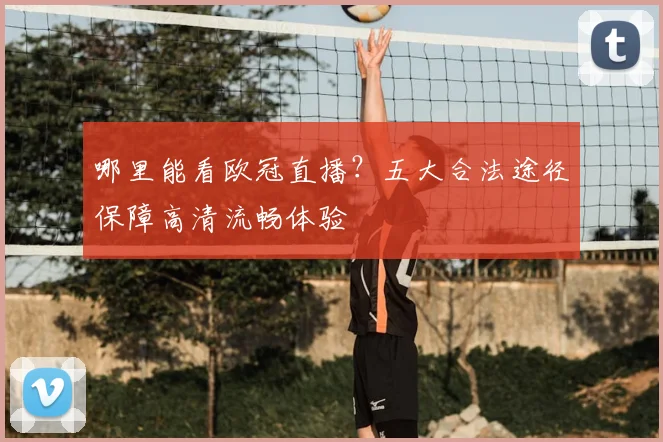 哪里能看欧冠直播？五大合法途径保障高清流畅体验