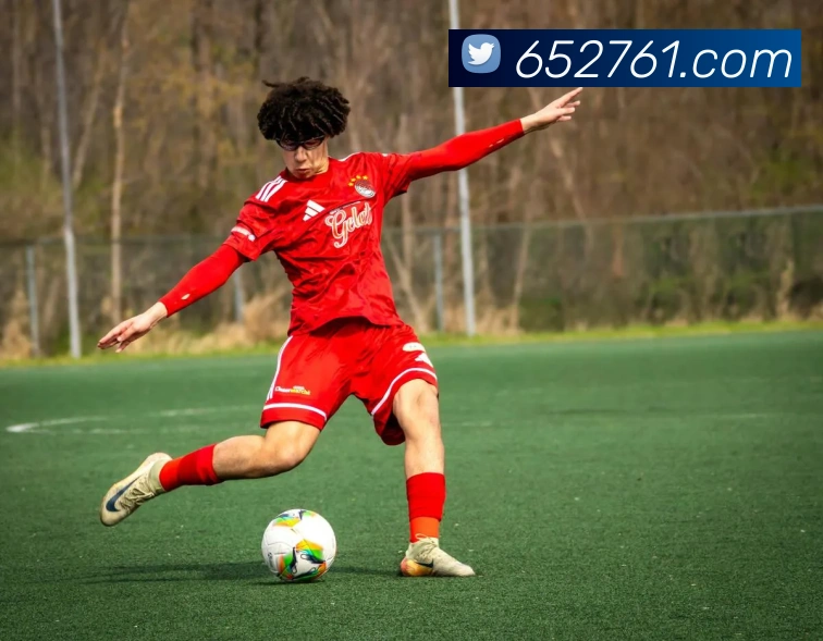 App Interface Preview